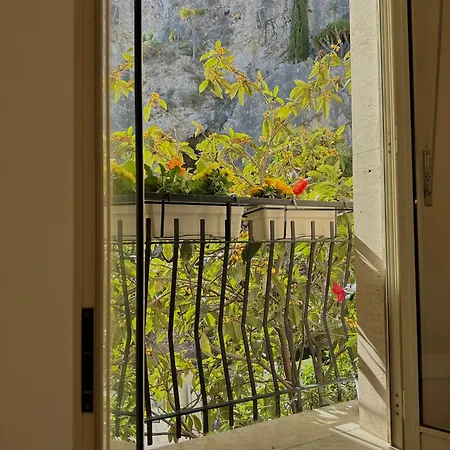 Sunflower Taormina